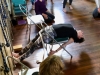 Yogawest_BobbyClennell2019_GeneralDay_3083