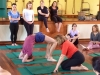 yogawest_BobbyClennell_May2017_8416