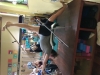 GarthMcLean_yogawestAM0260
