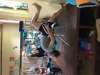 GarthMcLean_yogawestAM0262
