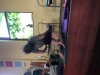 GarthMcLean_yogawestAM0279