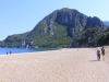 turkey13_5384