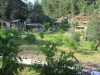 turkey13_5394