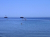 turkey13_5414
