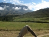 debsimmonsinmountroraima