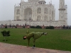 dianaattajmahal