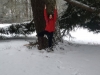 yogawest-diana-snow-vrksasana