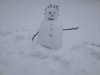 yogawest-snowman-trikonasana1
