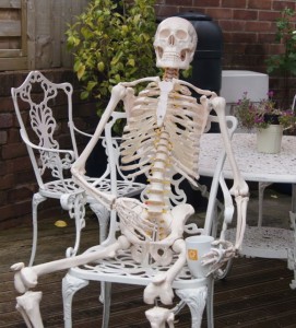yogawestskeleton6565