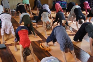 yogawest-openday-pose-7136